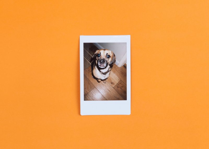 3 Tips for Storing Digital Photos to Keep Them Forever