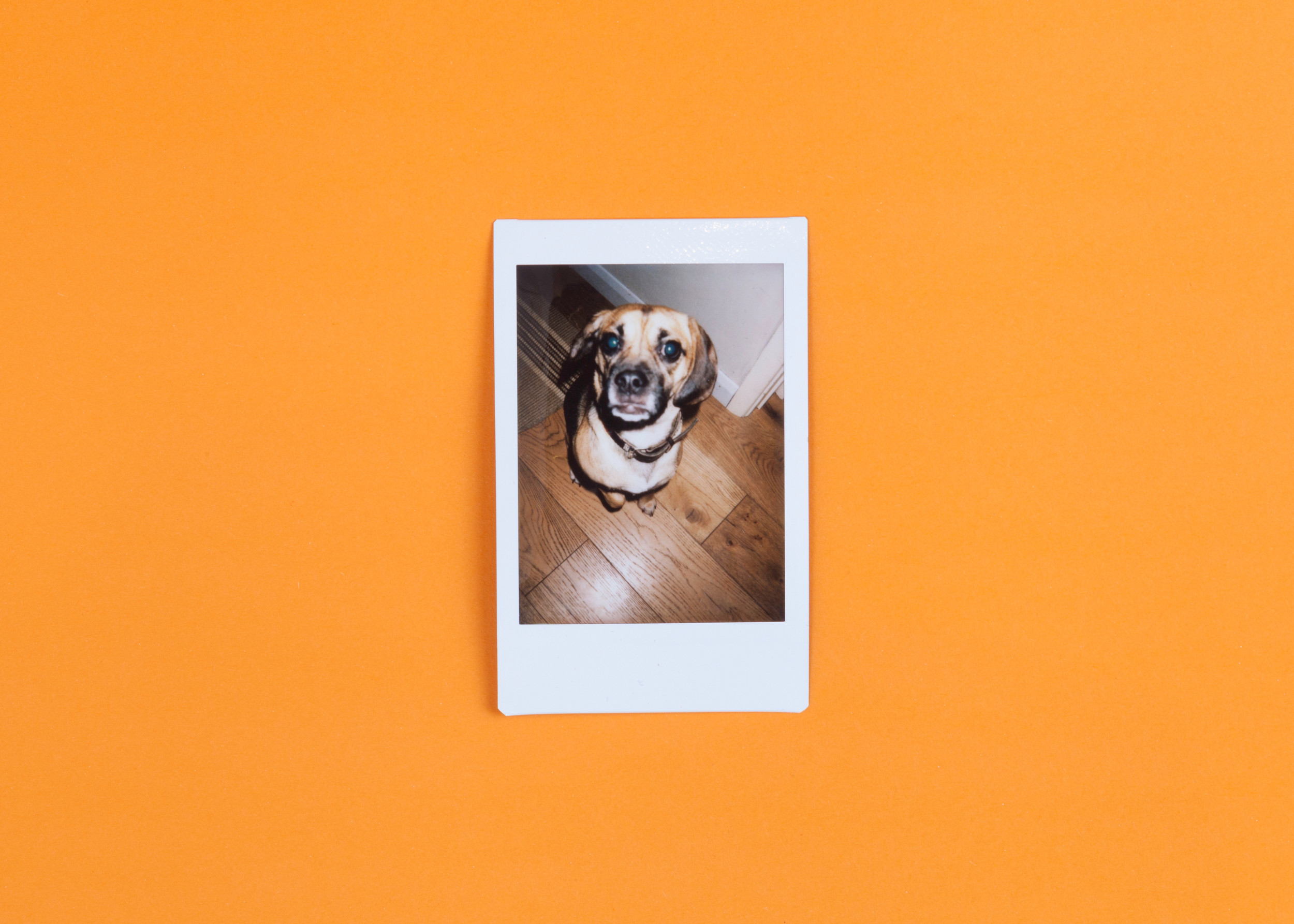 3 Tips for Storing Digital Photos to Keep Them Forever