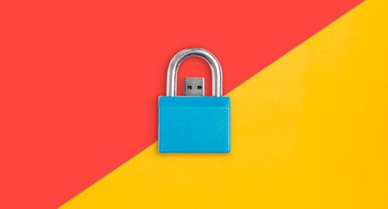 Identity theft lock secure flash drive
